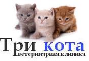 Ветеринарная клиника Три кота