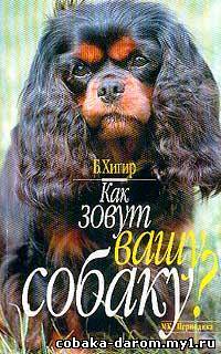 Хигир Борис, «Как зовут Вашу собаку?», 2001 г., 191 кб, (rtf)