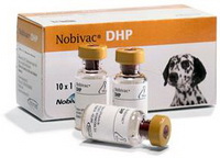 Вакцины для собак: Нобивак DHP (Nobivac DHP) - Ветеринария, болезни животных