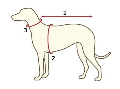 Как определить размер одежды собаки - Уход за собакой