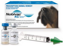 Вакцины для собак: Нобивак KC (Nobivac KC) - Ветеринария, болезни животных