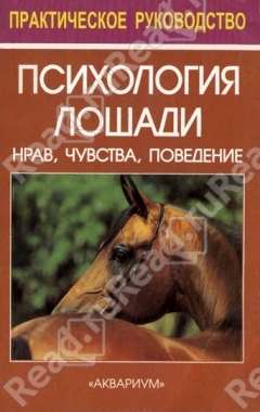 Психология лошади