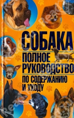  Скиба Т.